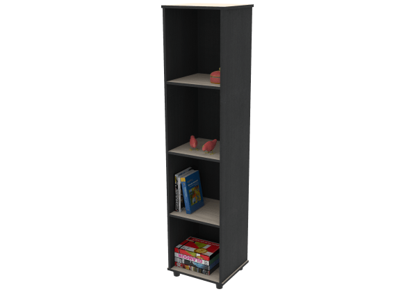 BIBLIOTECA-ASA-WENGUE-ISO1-AMB BIBLIOTECA-ASA-WENGUE-ISO1-AMB